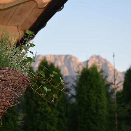 Fiedorowka Villa Zakopane Exterior photo