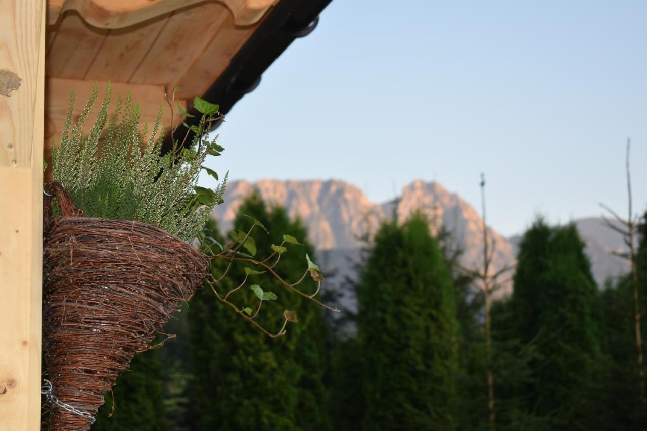 Fiedorowka Villa Zakopane Exterior photo