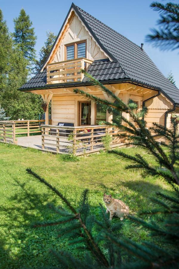 Fiedorowka Villa Zakopane Exterior photo