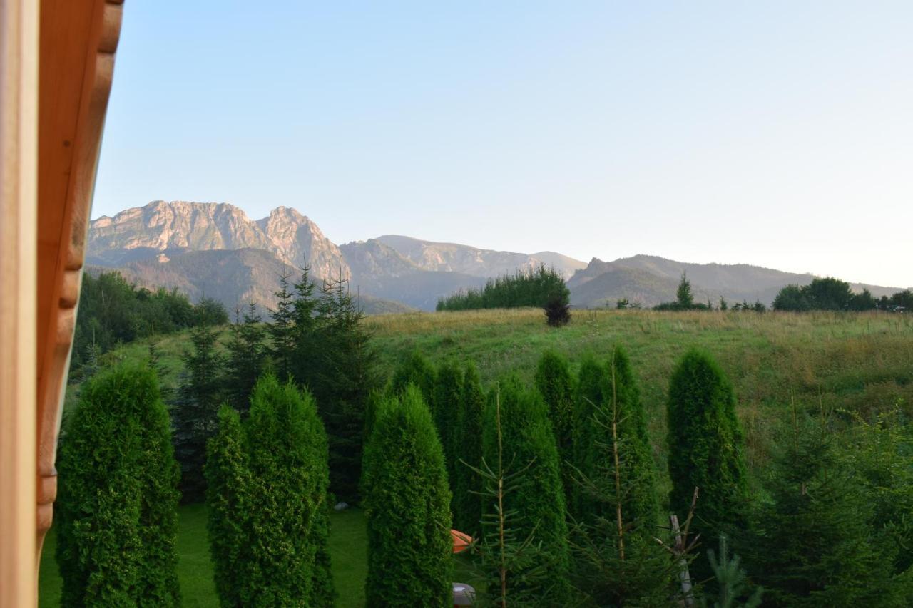 Fiedorowka Villa Zakopane Exterior photo