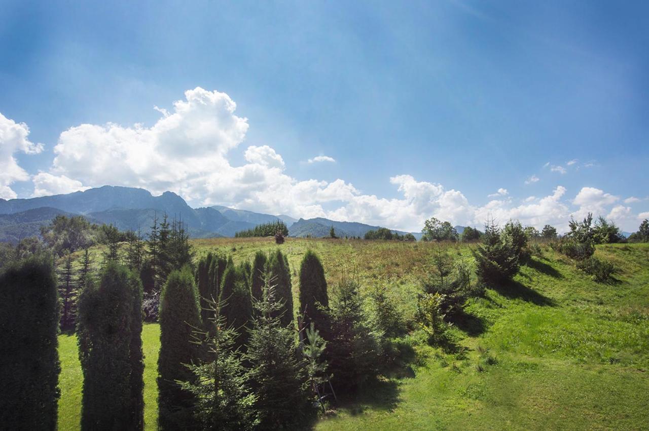 Fiedorowka Villa Zakopane Exterior photo